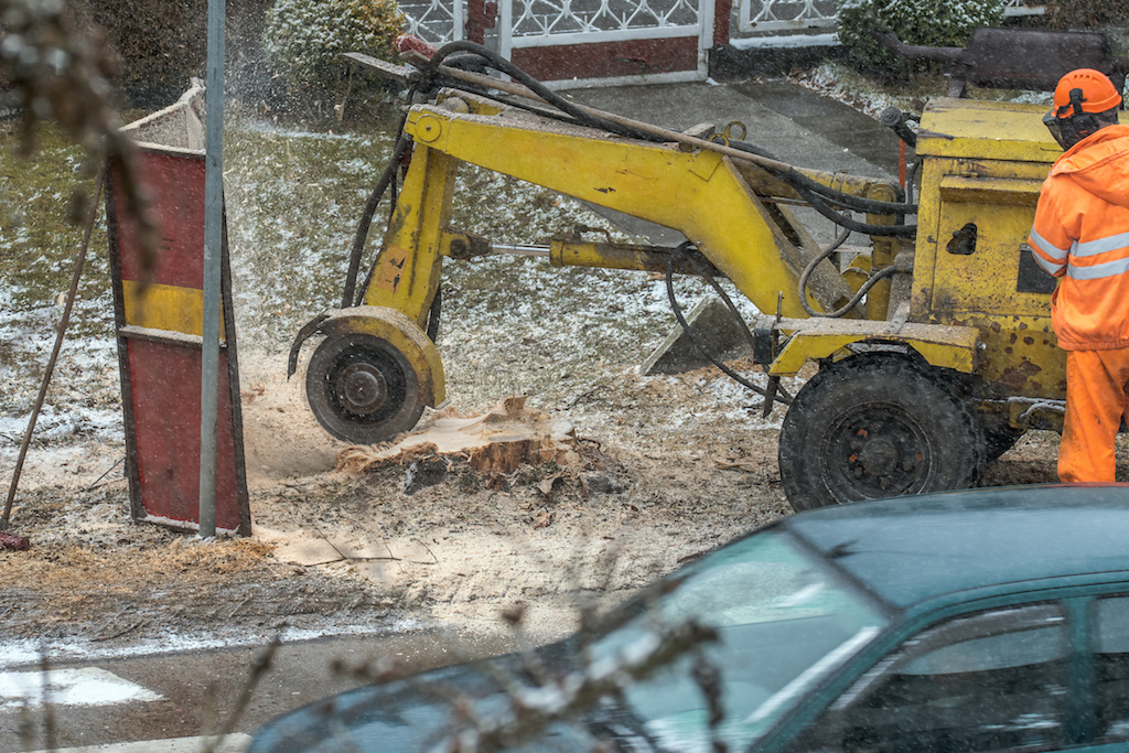 Stump Grinding Tips to Avoid Problems